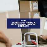 The benefits of using a moving company with a professional team