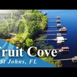 Fruit Cove: Moving to Nature’s Playground