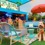 Central Florida's Best Pet-Friendly Restaurants and Parks