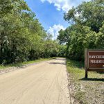 A Quick Guide to Haw Creek, Florida: Moving Essentials